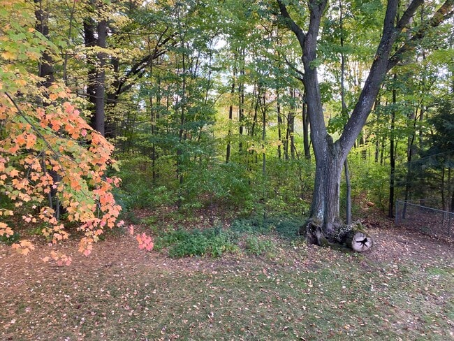 Photo - 2711 Jelinek Ave Condo