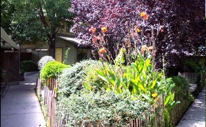 Photo - Leslie Drive Apartments