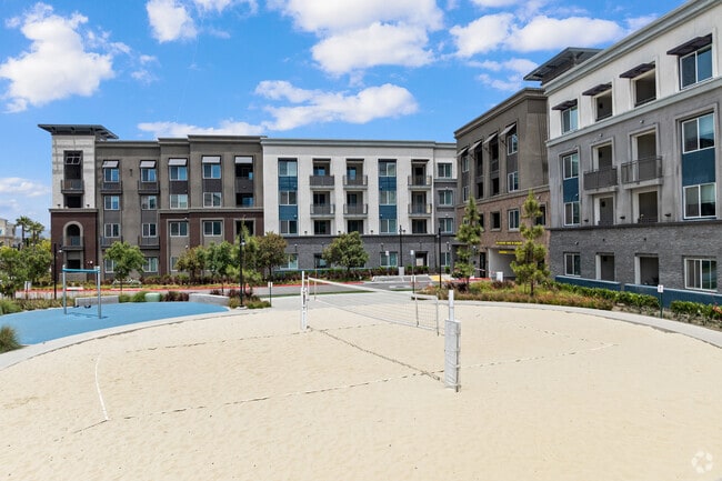 Beach Volleyball Courts - Mayfair