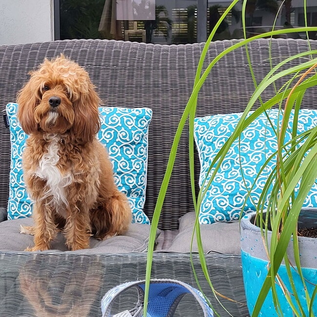 Photo - 5700 NE 20th Ave