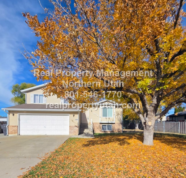 Building Photo - 5 Bedroom Home In West Point Available Now!