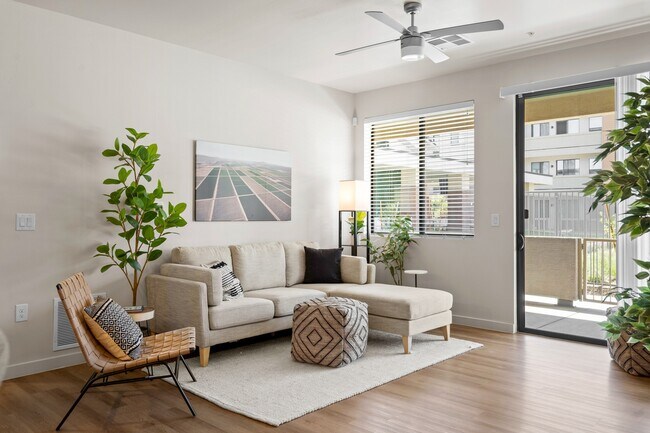 High Ceilings