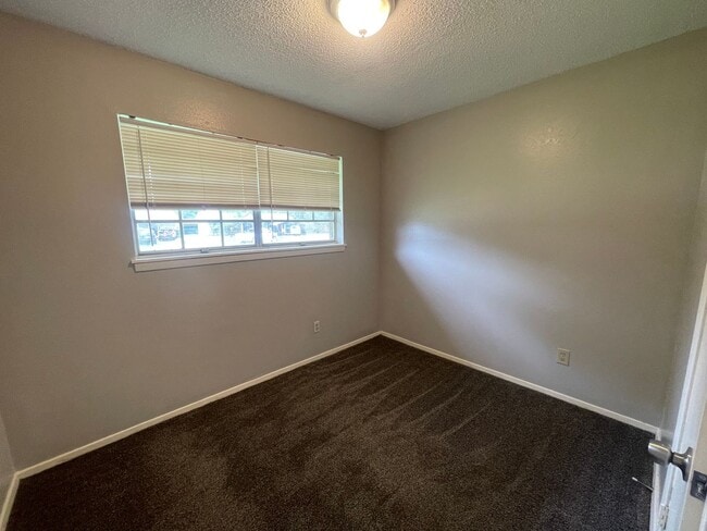 Photo - Don't Miss Out On This Swan Lake Beauty!