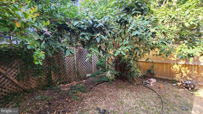 Photo - 459 M St NW Unidad C