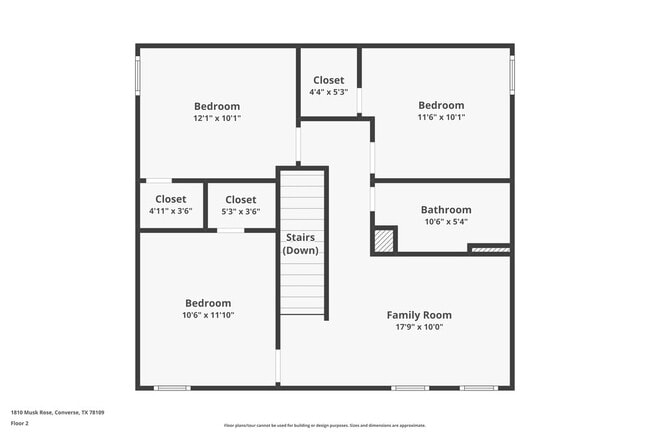Photo - 1810 Musk Rose