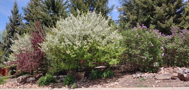 Photo - 1468 Willow Loop Unit B