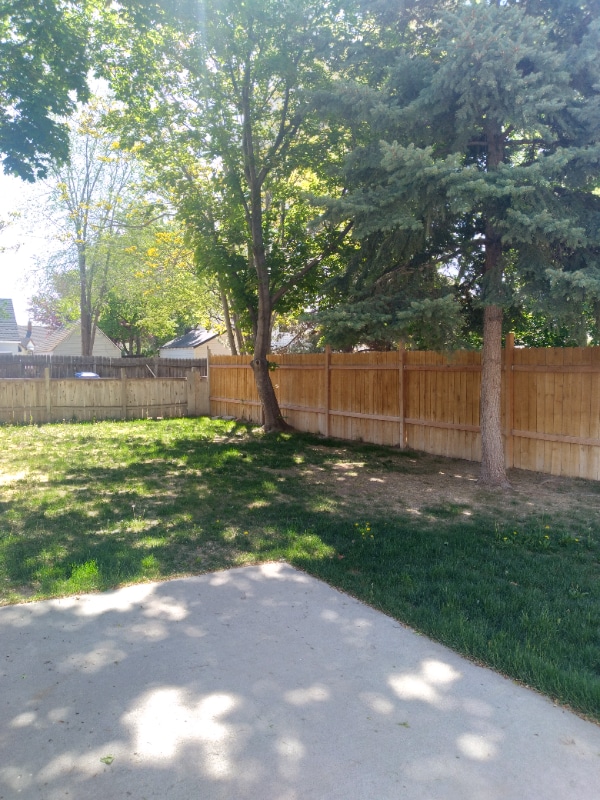 Photo - 136 Pierce St