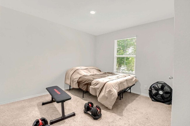 Photo - 15327 Shortwing