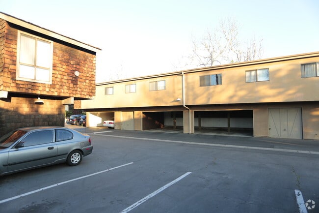 Photo - Country Woods