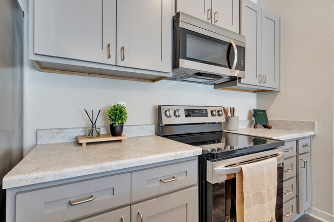 The Belleview - Student Friendly Housing
