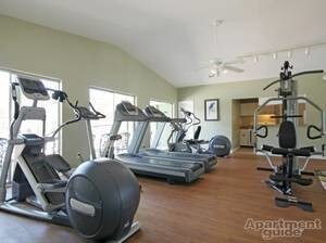 Photo - Patriot on the Trace (FKA Autumn Trace)