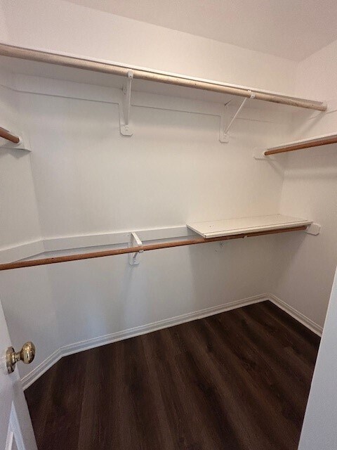 Photo - 19711 Morning Glory Terrace Ct