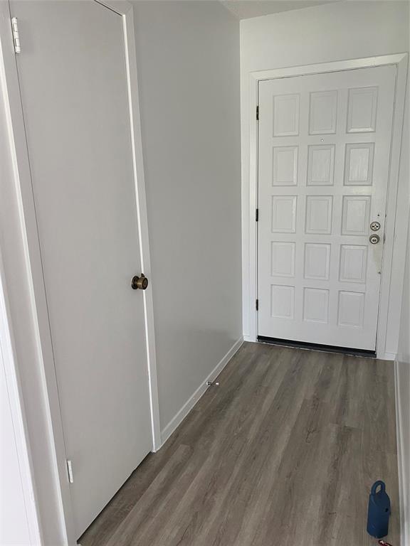 Photo - 5505 Tallow Tree Dr