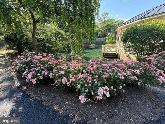 Photo - 5832 Apsley House Ct