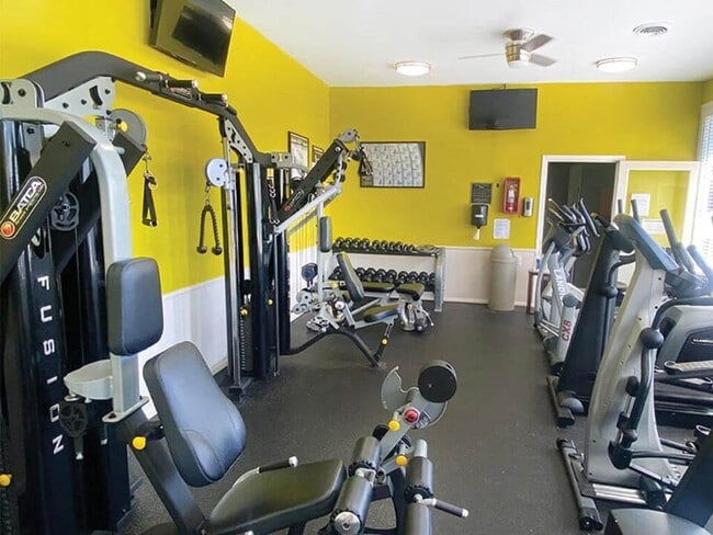 Professional Fitness Equipment