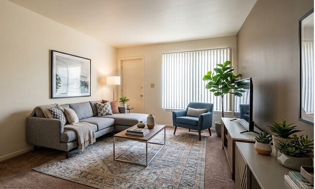 One Bedroom Livingroom