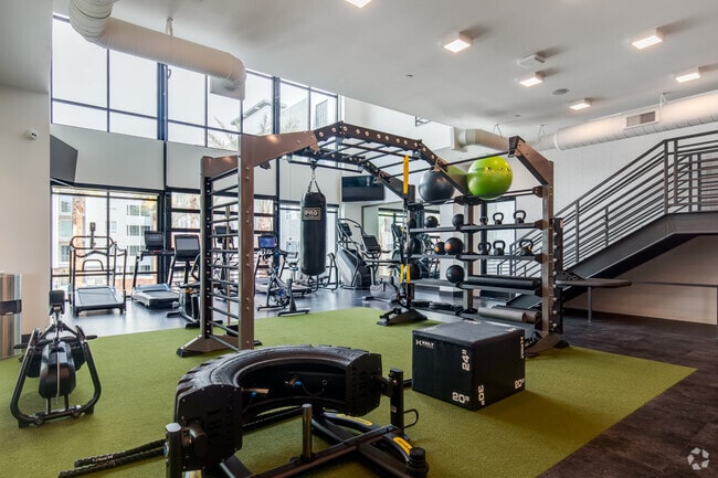 Gimnasio