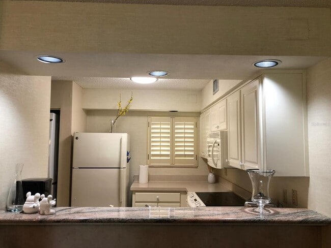 29129 Bay Hollow Dr Unidad 3203