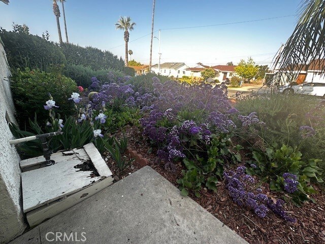 Photo - 1843 Lancewood Ave