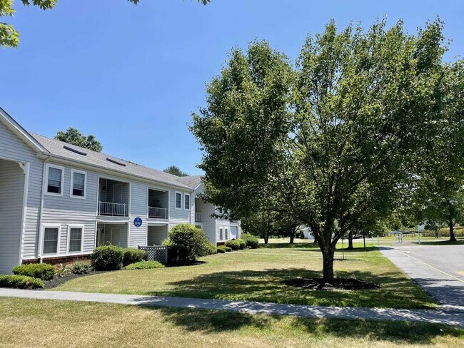 Photo - 81 Tivoli Gardens