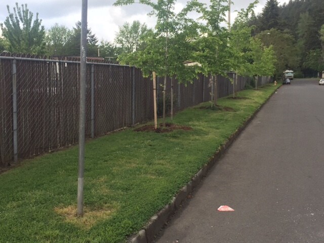 Photo - Viking Mobile Home Park