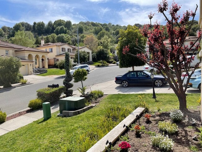 Photo - 1013 Ridgeview Dr