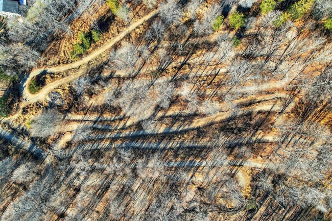 Photo - 443 Clove Rd Unit ID1366357P