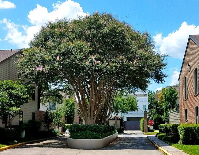 Photo - 1201 McDuffie St Unit 173