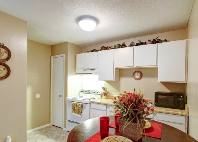 Cocina - Summer Tree