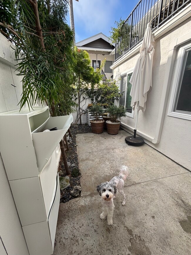 Photo - 413 14th St Unidad B