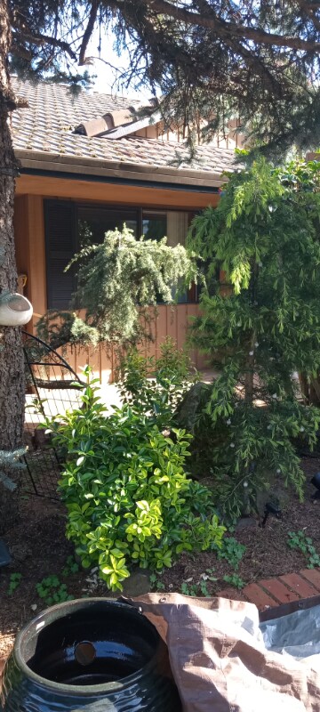 Photo - 4303 Imperial Dr Apartamento Unidad 4303