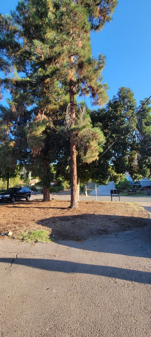 Photo - Single Story 3 Bedroom Home in Spring Valley