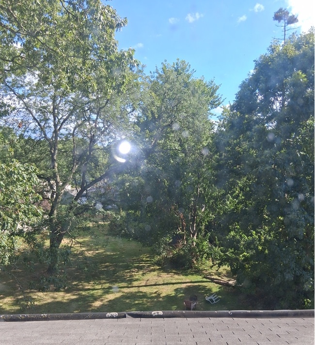 Photo - 1004 Butler Ave Unidad Apt 3