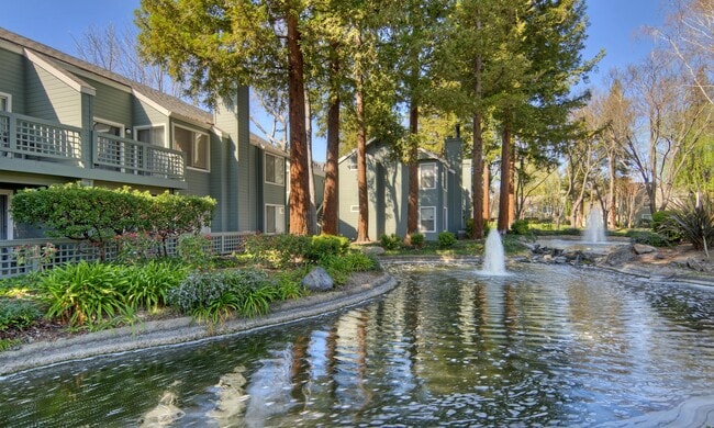 Wood Creek