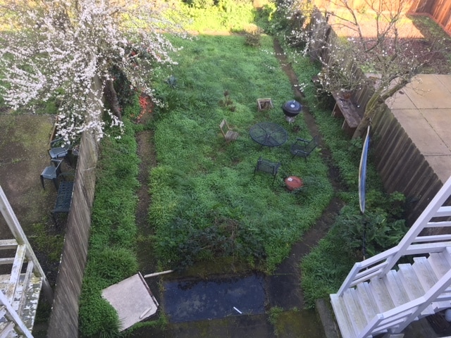 backyard - 126 Holloway Ave Unit studio