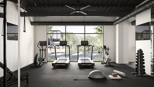 Lifefitness equipment - Five Points Lake View