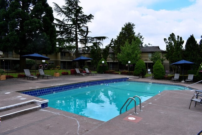 Pool & Spa