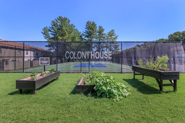 Photo - Colony House