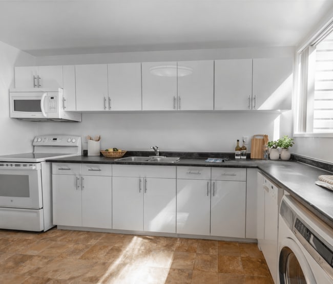 Photo - Christie Point