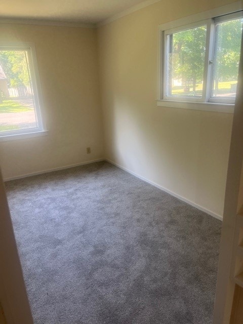 Photo - 105 Warner Rd