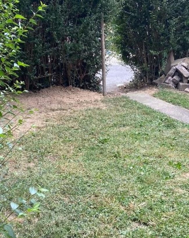 Photo - 1811 Mulberry St Unit C