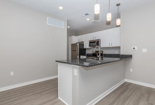 Photo - The Landing on Horizon