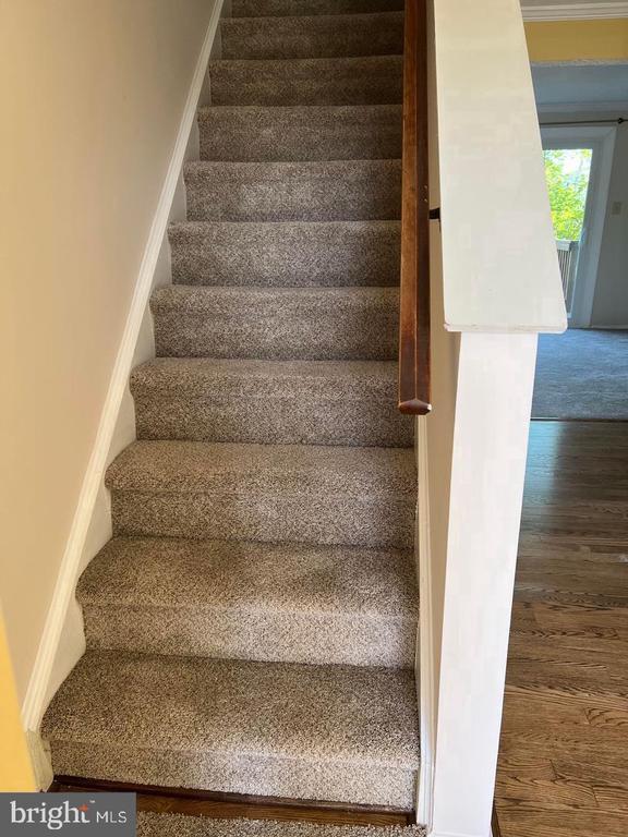 Photo - 11702 Zebrawood Ct