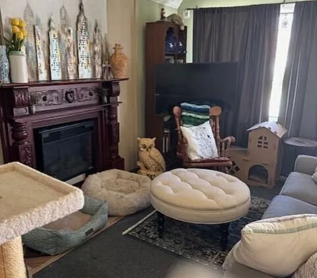 Photo - 40 Marscher Pl