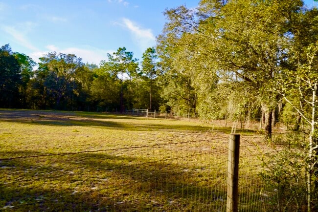 Photo - 29205 Saddle Oaks Ln