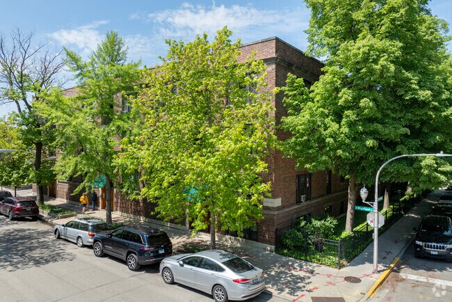 Primary - Wrightwood Burling