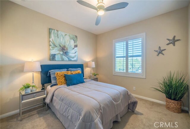 Photo - 103 Oasis