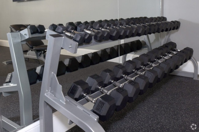 Free Weights of All Sizes