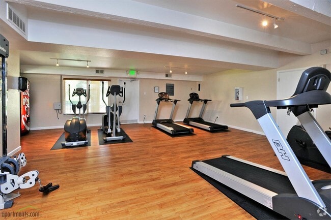 Gimnasio