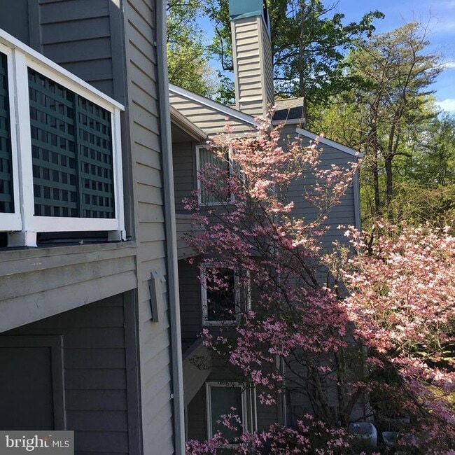 Photo - 11703 Summerchase Cir